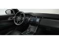 resized_166450353067f77c5a4d47b.png