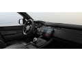 resized_19056031766864de8e96fe5.png