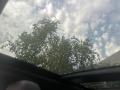 resized_43365178868adcae5dab61.jpeg