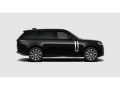 resized_113397791068d51b8899123.png