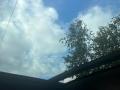 resized_126532677768ef67090e344.jpeg