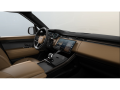 resized_18868192746a1689b2a09a6.png